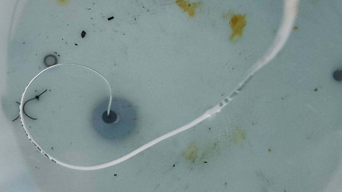A PTLevel pressure chamber at the bottom of a tank