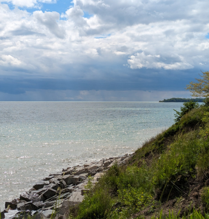 Understanding the Impact of Water Conservation on The Environment